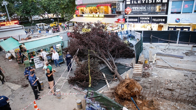 Başkentte ağaç devrildi: 3 yaralı